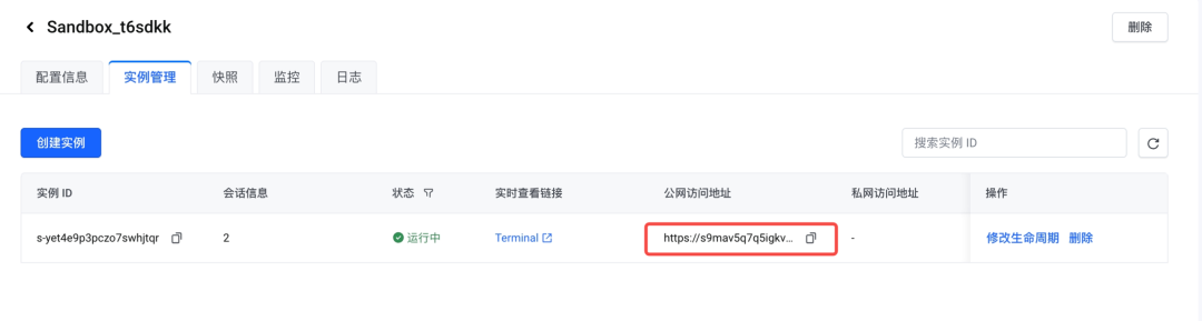 公网访问地址展示截图