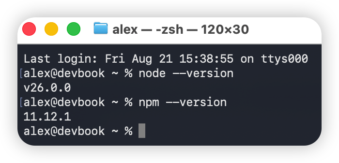 Node.js 和 npm 版本验证输出