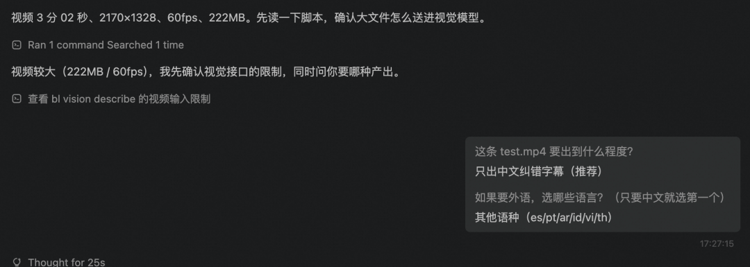 qwen-subtitle 纠错后带中文字幕的录屏界面截图