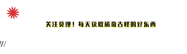 国内直连!设计界首个“越用越懂你”的AI来了 配图 25