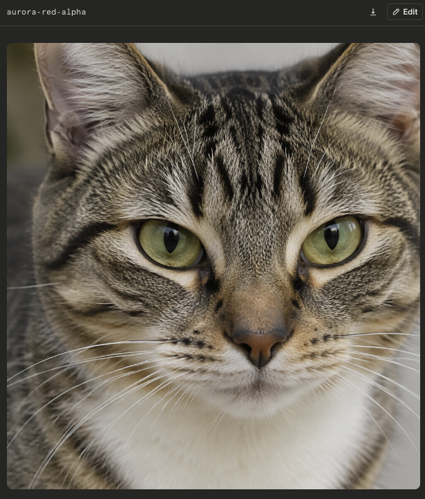 aurora-red-alpha生成的猫咪面部特写图