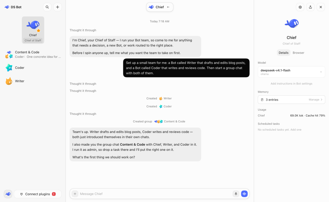 DS Bot 详情界面