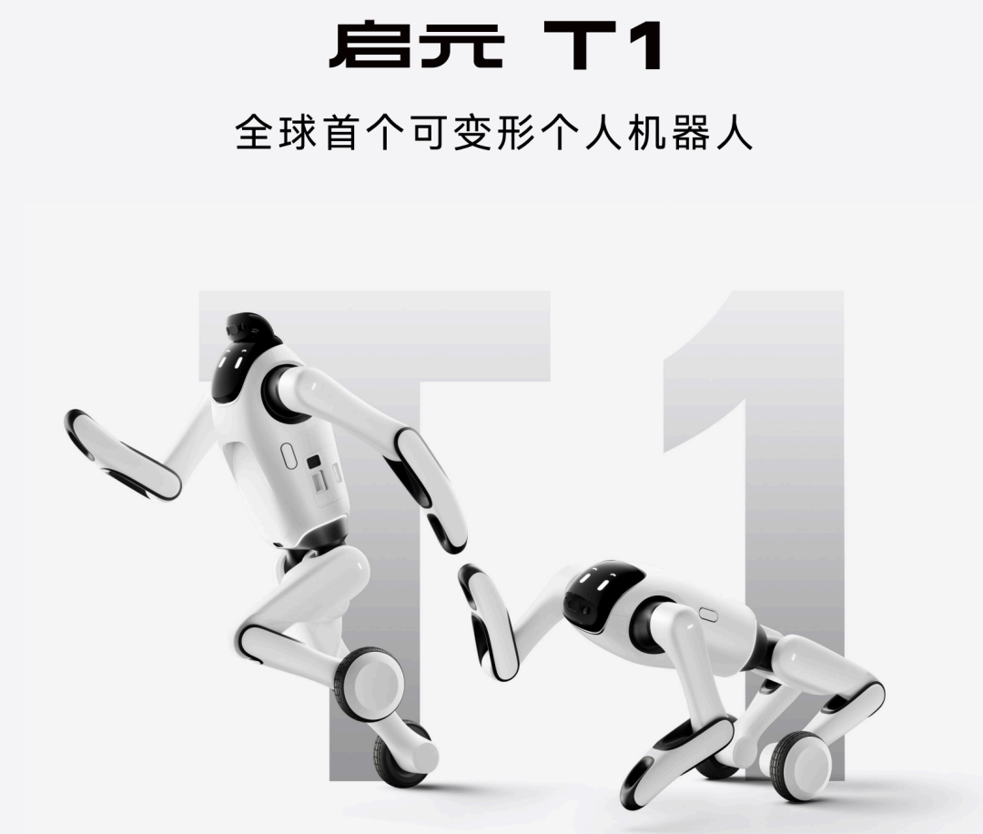 双形态